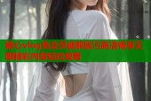 糖心vlog免会员破解版污高清畅享无限精彩内容轻松观看