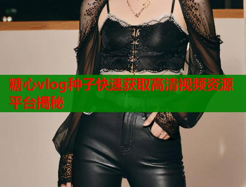糖心vlog种子快速获取高清视频资源平台揭秘  第2张