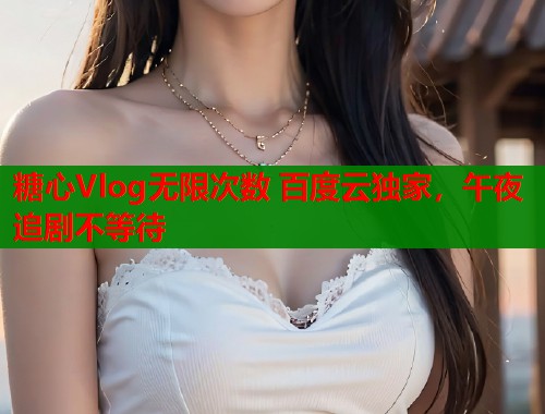 糖心Vlog无限次数 百度云独家，午夜追剧不等待  第2张